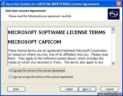 Установка Capicom 2.1.0.2